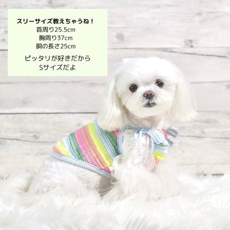 編みボーダーチュニック