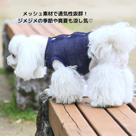 SHUBEANSオリジナル コットンメッシュバックオープントップス
