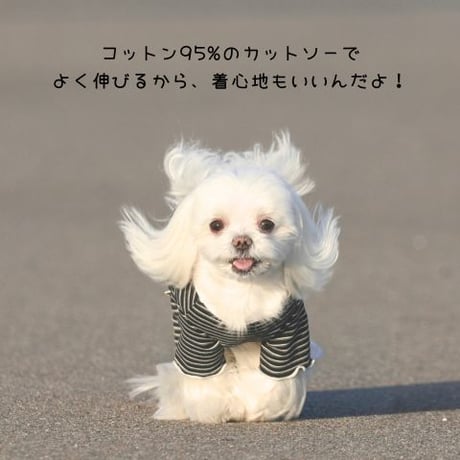ストレッチボーダー ロンパース