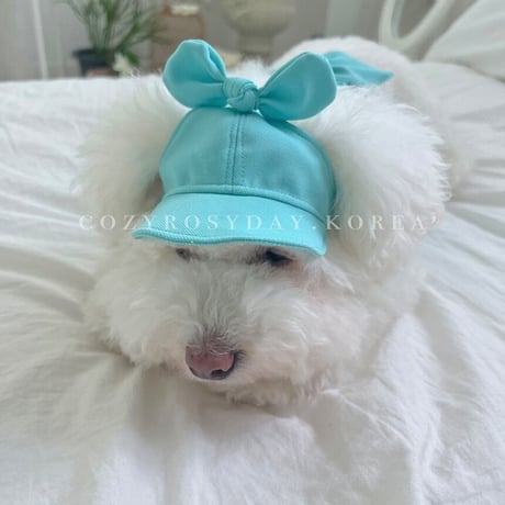 SUNNYDAYS BALL CAP