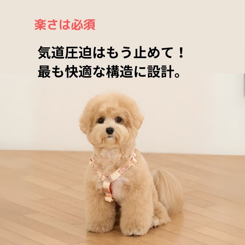 likalika coddly toy H型ハーネス | shubeans_petstyle