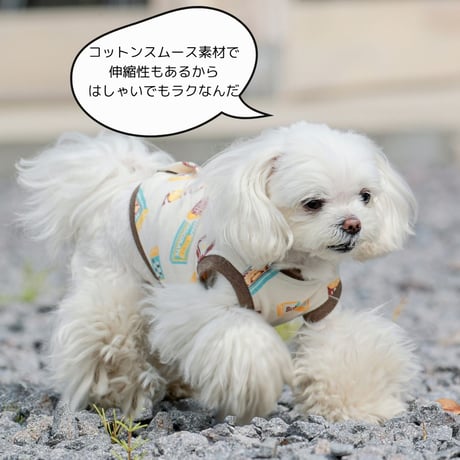 SHUBEANSオリジナル バックオープントップス チョコレート柄