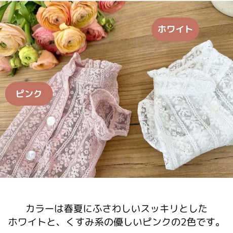 背中開きレースブラウス