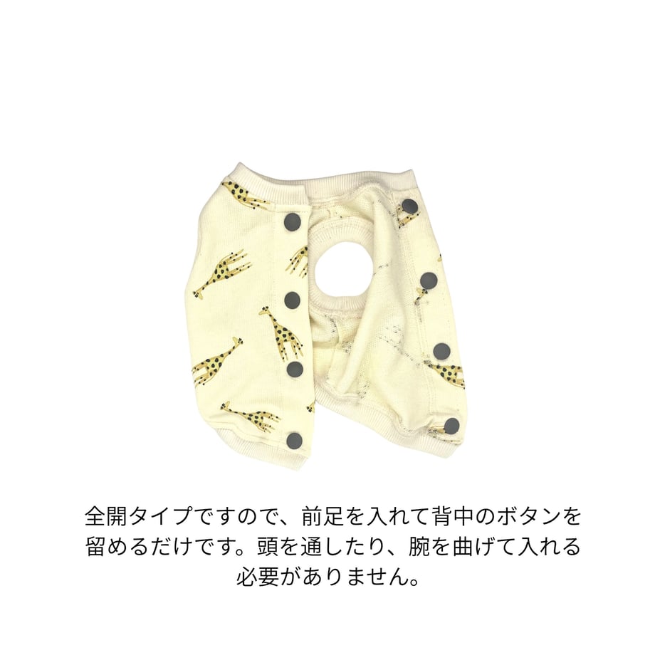 69074ce64f6263db3218a038