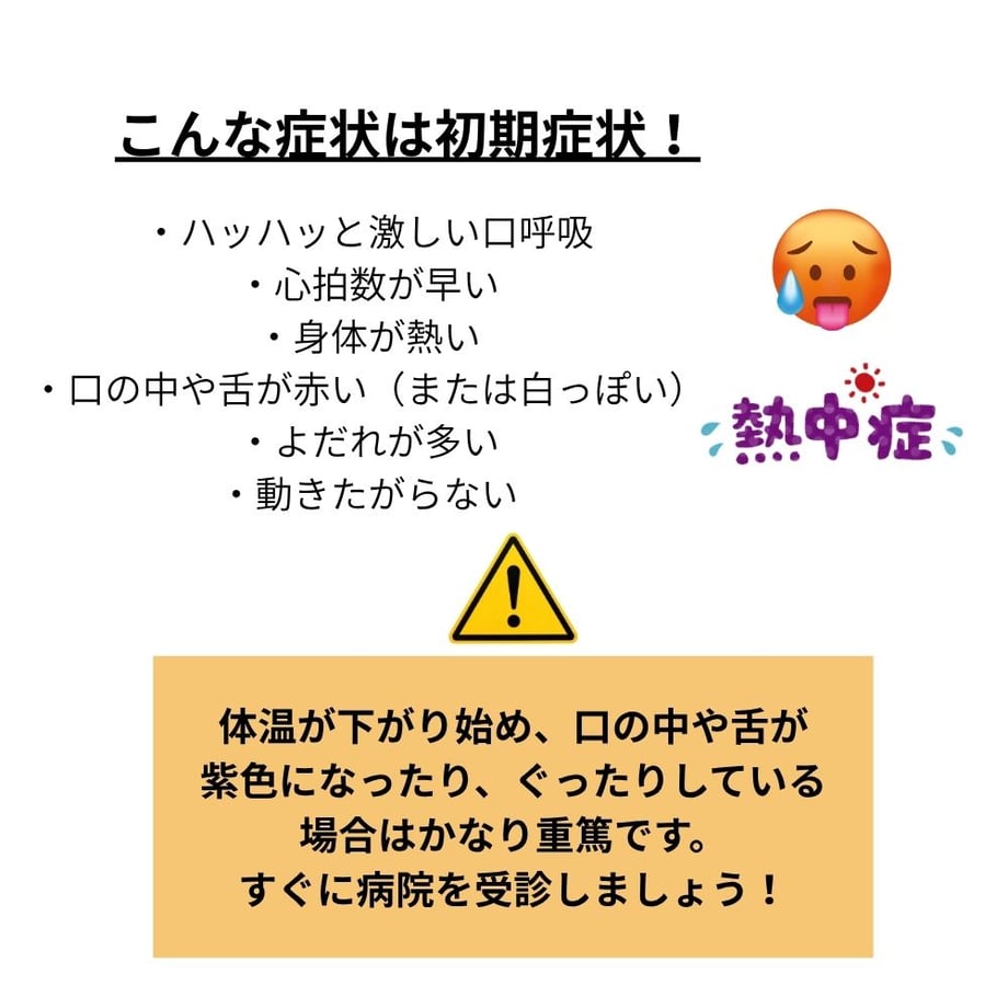 6a13acc6979394ef6850a077