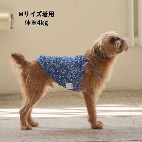 andblank Joy Bear Bandana バグガードクーリングスリーブレス