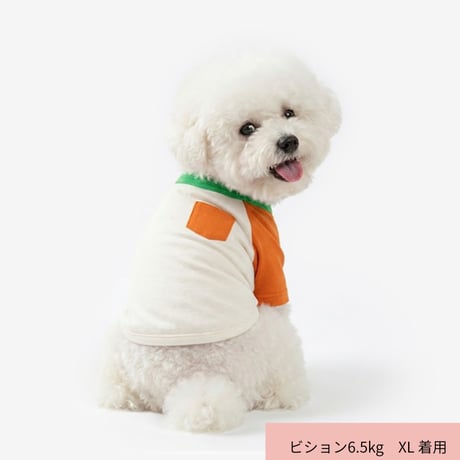 TUSTUS カラーブロックラグランTシャツ