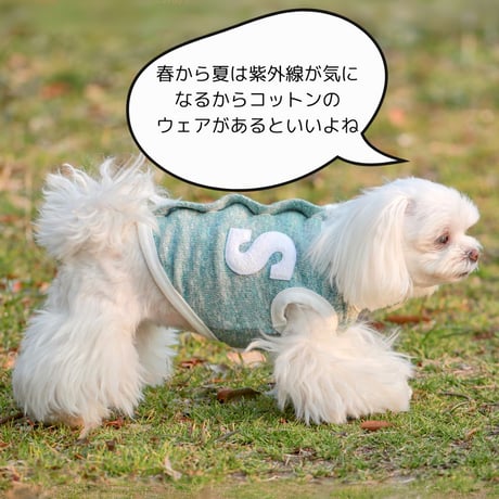 SHUBEANSオリジナル メランジ天竺背中開きトップス