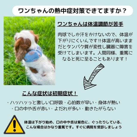 COOLスヌード