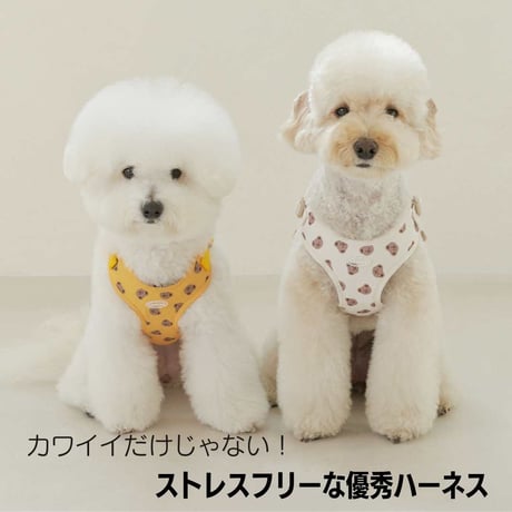 likalika BEAR BEBE 1秒ハーネス