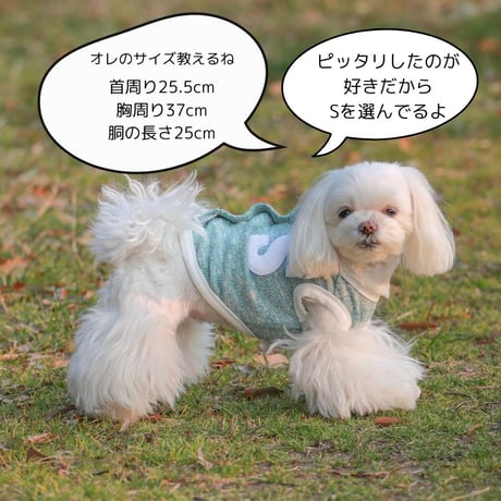 SHUBEANSオリジナル メランジ天竺背中開きトップス
