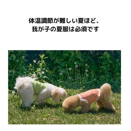 likalika 防虫＆クール素材キャミソール