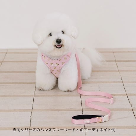 likalika bear bebe harness
