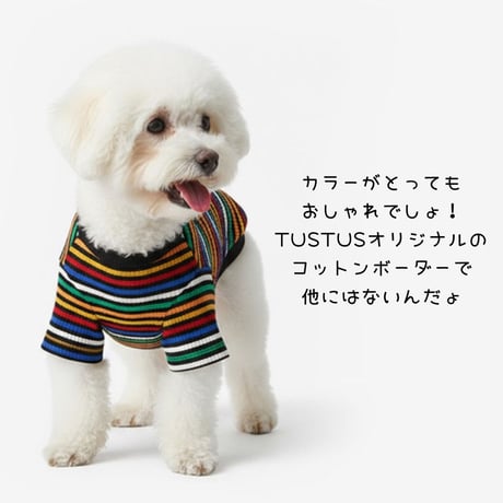 TUSTUSブラックカラーストライプ Tシャツ