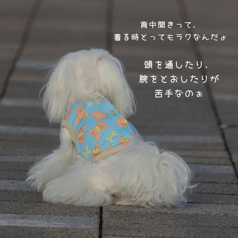 68dab1e573db3d819fad34b0