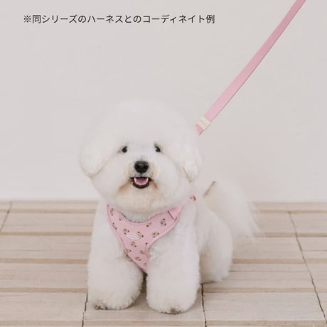 bear bebe handsfree leash
