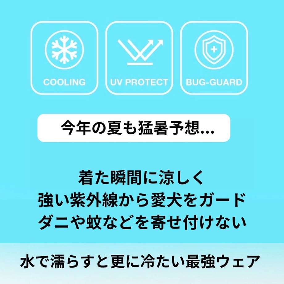 6a02b20b7dd1ee93073a7250