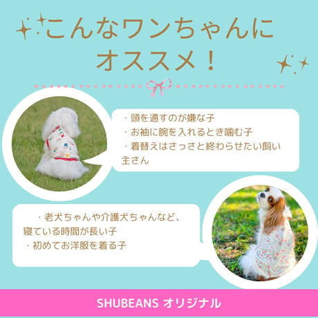 SHIPワッペンバックオープントップス