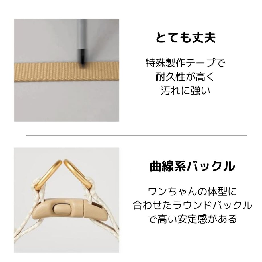 65f4468e24c2f424c5b2492a
