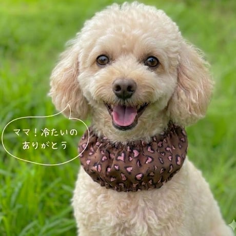 SHUBEANSオリジナル　クールスヌード保冷剤付き
