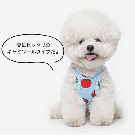 TUSTUS IT'S MY HOMEクール素材キャミソール