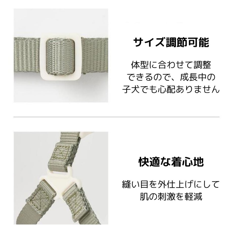 65f4468e24c2f424c5b2492a