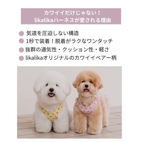 likalika bear bebe harness