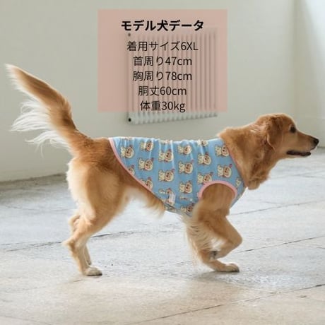 andblank iconic woolly スリーブレス