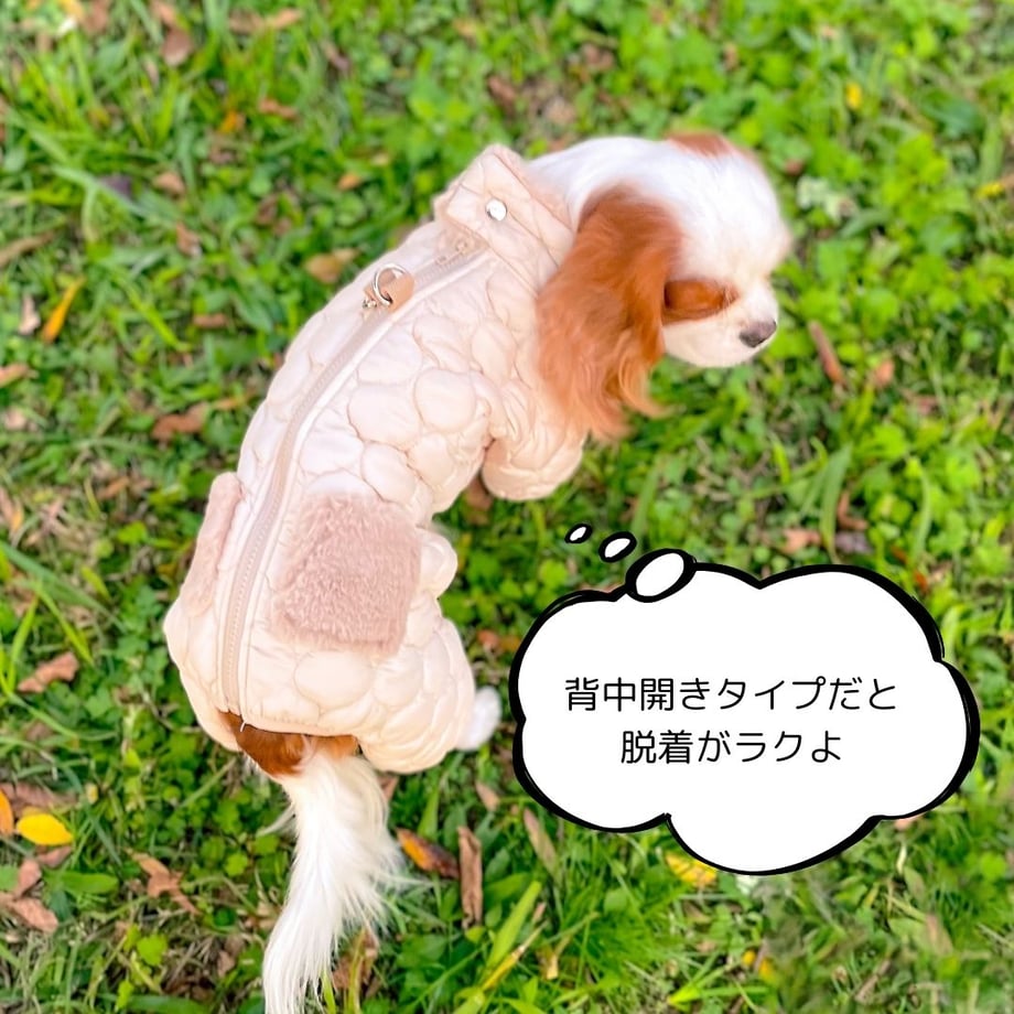 674930c3835a6702acb0eff9