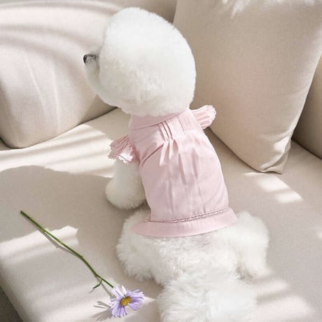 Angel Blouse ( Pink)