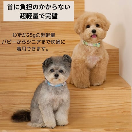 likalika coddly toy ネックライン