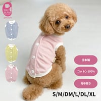 【新作5%OFF】SHUBEANSオリジナル　背中開きパステルギンガム トップス