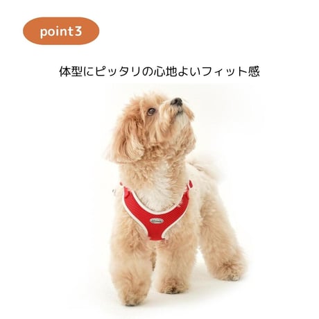 minimizクレヨンフィットハーネス