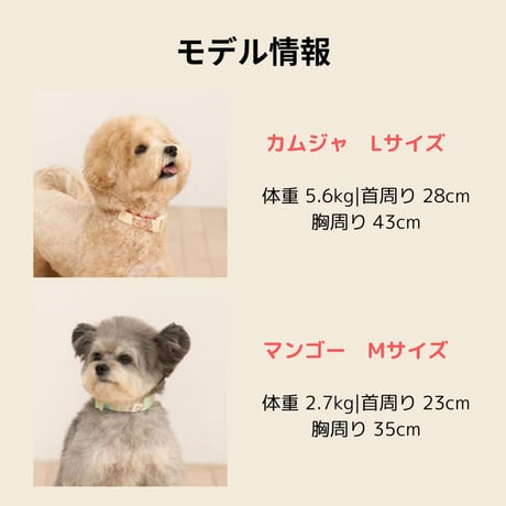 likalika coddly toy ネックライン