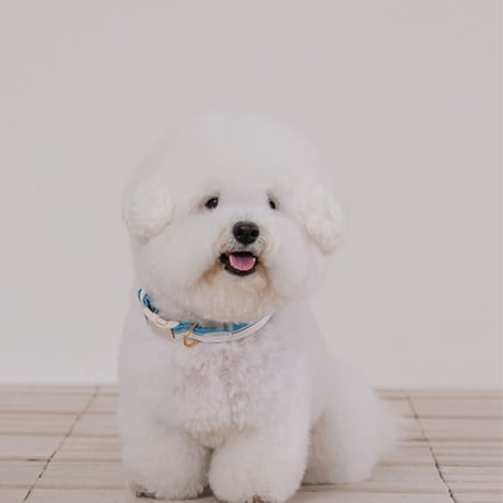 likalika breeze walk collar
