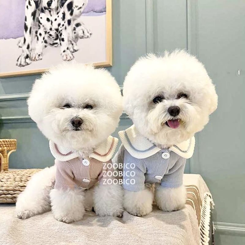 パンケーキニットセーラージャケット | shubeans_petstyle STORE 