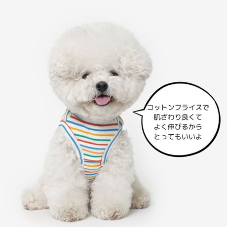 TUSTUSオリジナルボーダータンクトップ