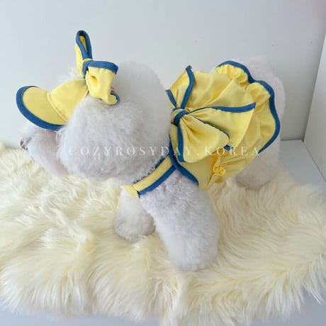 HAUTE RIBBON TOP