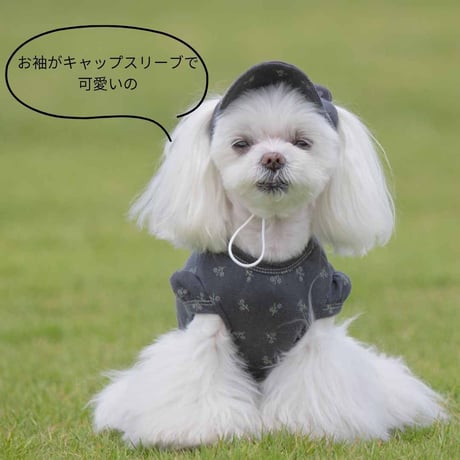 SHUBEANSオリジナル 小花柄バックオープントップス