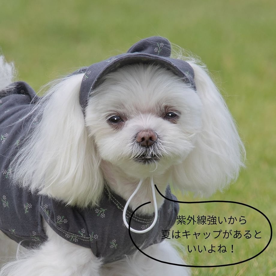 6888f1fa5ddc5db9a6f3ca20