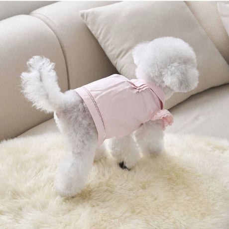 Angel Blouse ( Pink)
