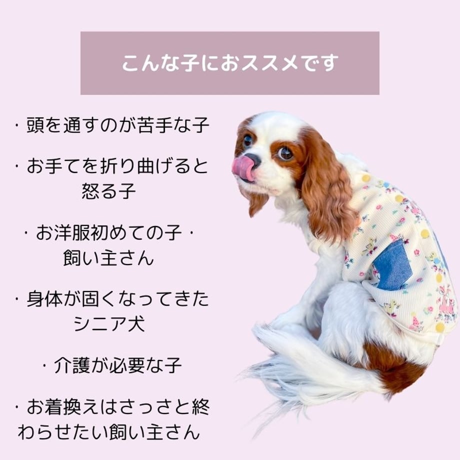 6720d1e926021613043f6343