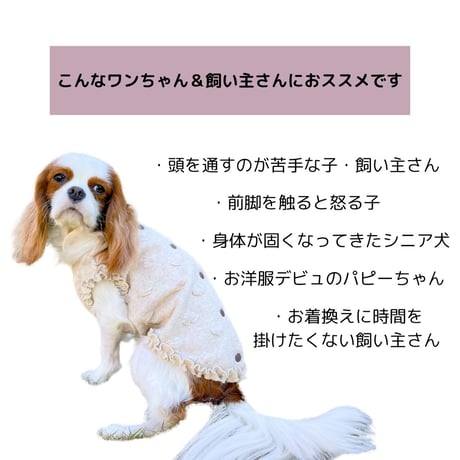 SHUBEANSオリジナル バックオープンハート柄フリルトップス