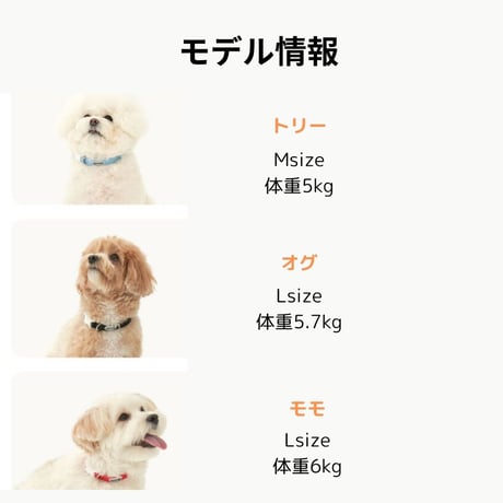 minimizクレヨンフィット首輪