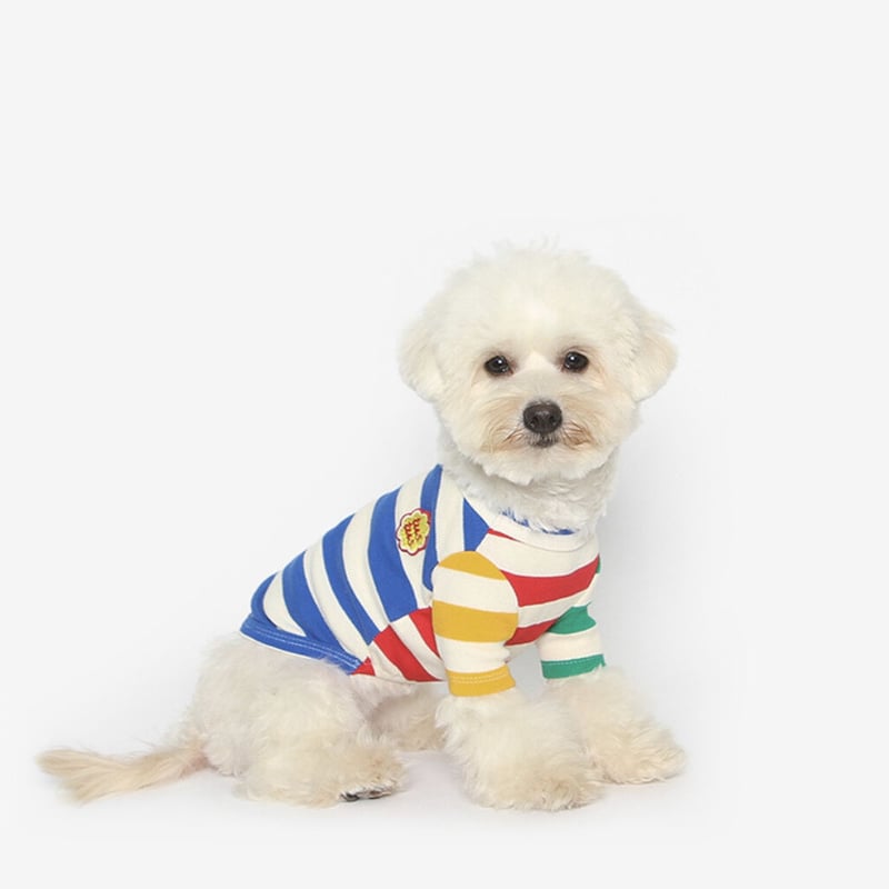CATEGORY 犬服 | shubeans_petstyle STORE