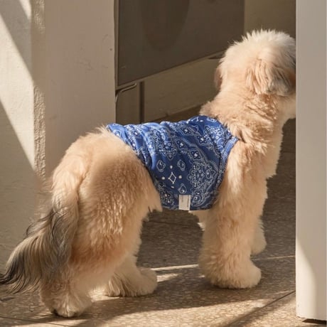 andblank Joy Bear Bandana バグガードクーリングスリーブレス