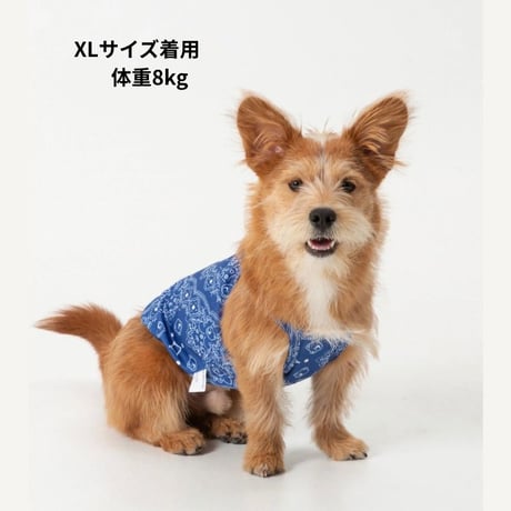 andblank Joy Bear Bandana バグガードクーリングスリーブレス