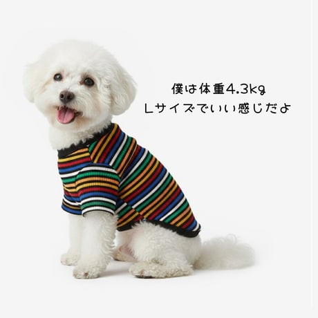 TUSTUSブラックカラーストライプ Tシャツ