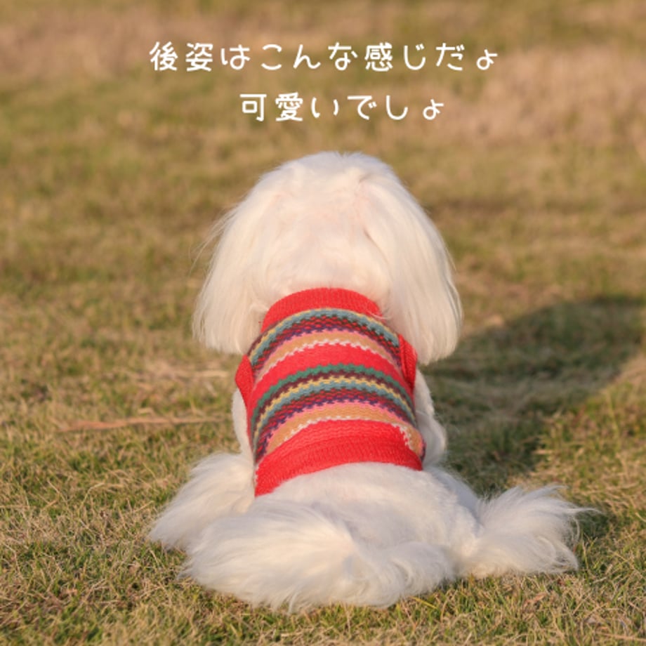 68ee74b6a06e096a2aa9f5aa