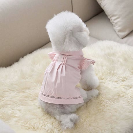 Angel Blouse ( Pink)